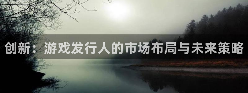 银河官网注册平台是什么软件：创新：游戏发行人的市场布局与未来策略