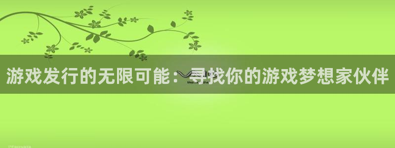 银河官网注册登录失败：游戏发行的无限可能：寻找你的游戏梦想家伙伴