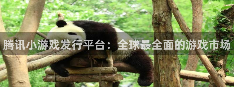 银河(galaxy)电子科技怎么样