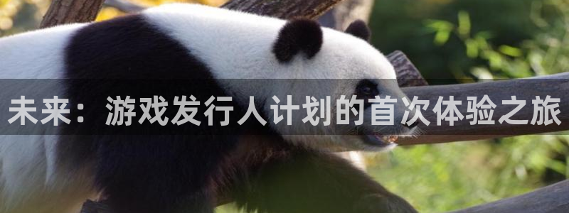 银河(galaxy)电子科技股票：未来：游戏发行人计划的首次体验之旅