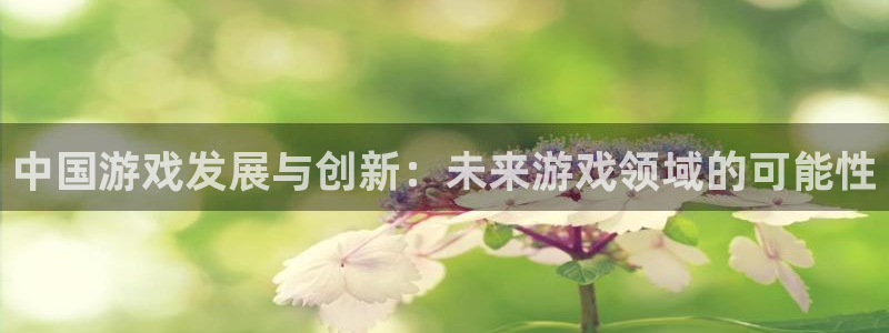 银河官网代理注册地址