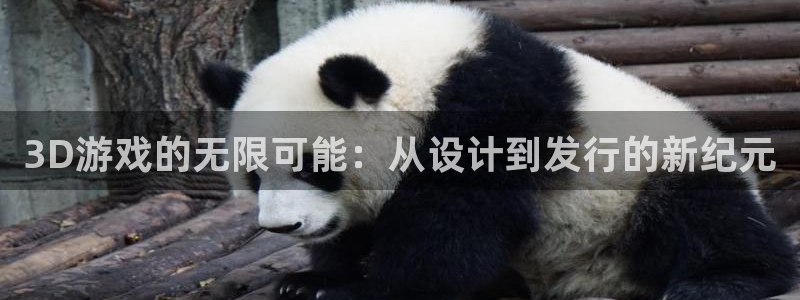 银河官网：3D游戏的无限可能：从设计到发行的新纪元
