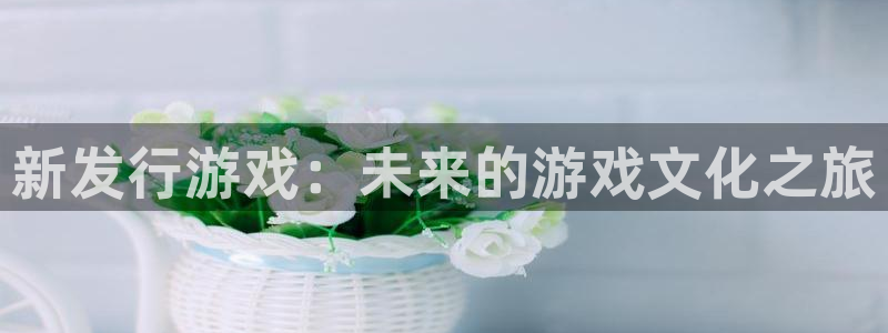 陕西银河(galaxy)子文化创意有限公司是做什么的：新发行游戏：未来的游戏文化之旅