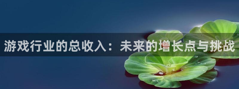 陕西银河(galaxy)子文化公司加我qq：游戏行业的总收入：未来的增长点与挑战