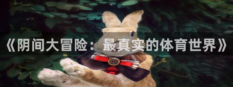 vsport体育