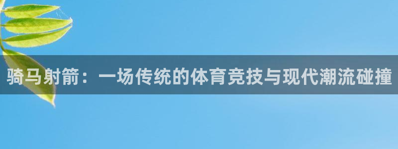 vsport体育在线官网：骑马射箭：一场传统的体育竞技与现代潮流碰撞
