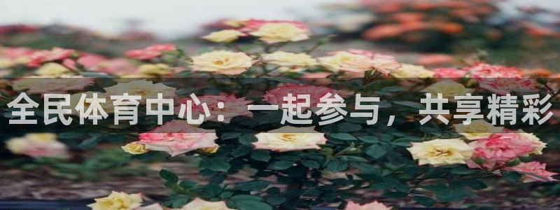 vsport体育在线官网：全民体育中心：一起参与，共享精彩