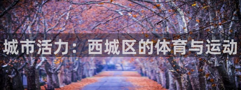 vsport体育在线官网