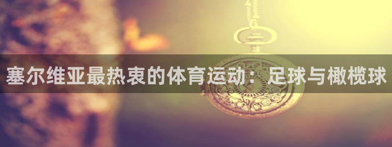 vsport体育在线官网