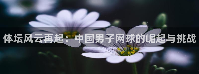 vsport体育：体坛风云再起：中国男子网球的崛起与挑战