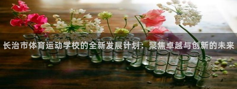 vsport体育：长治市体育运动学校的全新发展计划：聚焦卓越与创新的未来