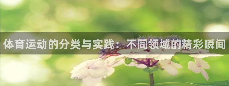 vsport体育在线官网：体育运动的分类与实践：不同领域的精彩瞬间